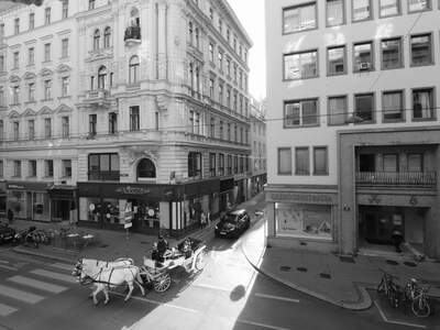 Gewerbeobjekt mieten in 1010 Wien