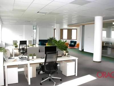 Gewerbeobjekt mieten in 1210 Wien