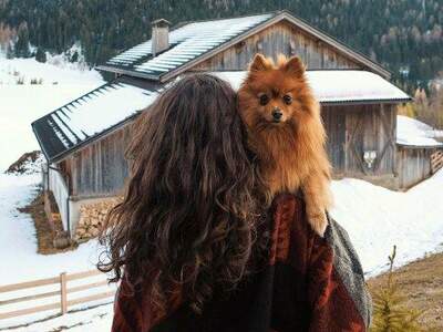 Immobilie kaufen in 9112 Griffen (Bild 3)