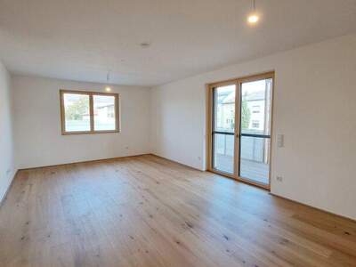 Terrassenwohnung kaufen in 7100 Neusiedl (Bild 2)