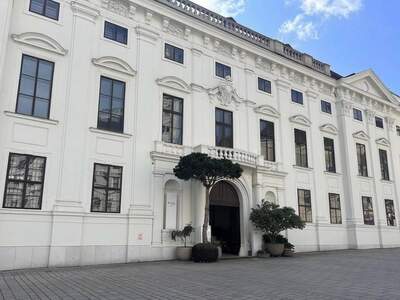 Gewerbeobjekt mieten in 1010 Wien