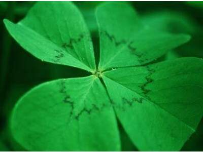 Grundstück kaufen in 1220 Wien