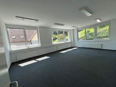 Gewerbeobjekt mieten in 8054 Graz (Bild 3)