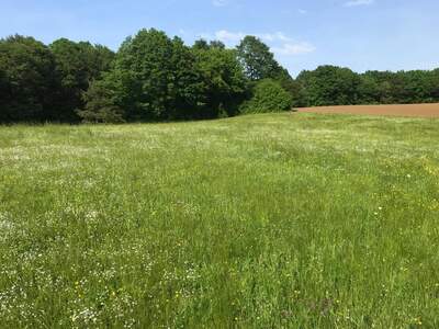 Grundstück kaufen in 8382 Mogersdorf