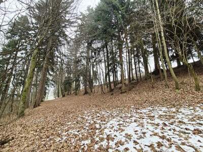 Gewerbeobjekt kaufen in 3233 Kilb