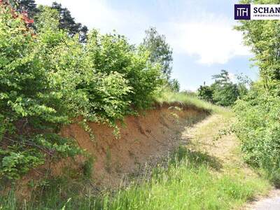 Grundstück kaufen in 8046 Graz (Bild 5)