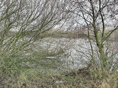 Grundstück kaufen in 9361 Hövej (Bild 3)