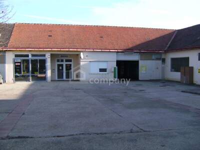 Gewerbeobjekt kaufen in 2042 Guntersdorf (Bild 4)