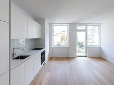 Etagenwohnung kaufen in 4820 Bad Ischl