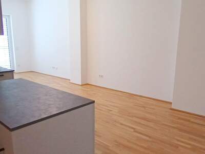 Mietwohnung in 4600 Wels (Bild 5)