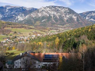 Gewerbeobjekt kaufen in 2651 Reichenau