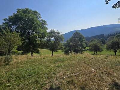 Grundstück kaufen in 9560 Feldkirchen Alt