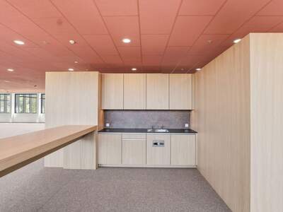 Gewerbeobjekt mieten in 6922 Wolfurt (Bild 4)