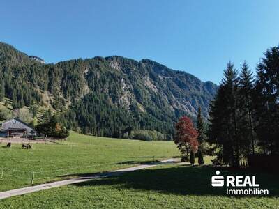 Grundstück kaufen in 6675 Tannheim (Bild 4)