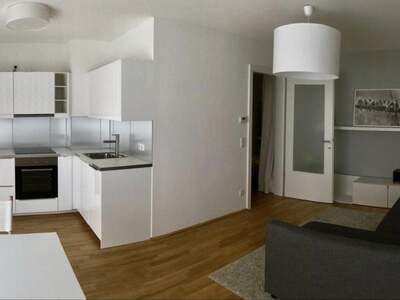 Apartment provisionsfrei mieten in 1180 Wien