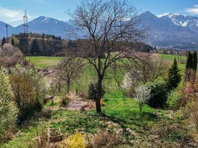 Grundstück kaufen in 9072 Ludmannsdorf (Bild 4)