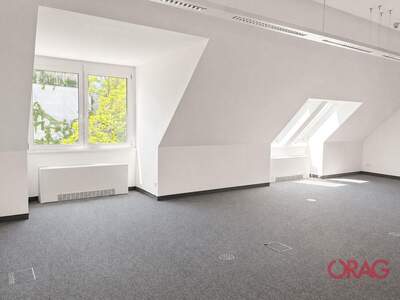 Gewerbeobjekt mieten in 1190 Wien (Bild 3)