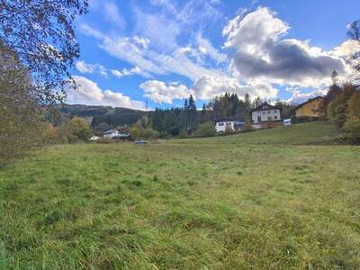 Grundstück kaufen in 8684 Spital (Bild 4)