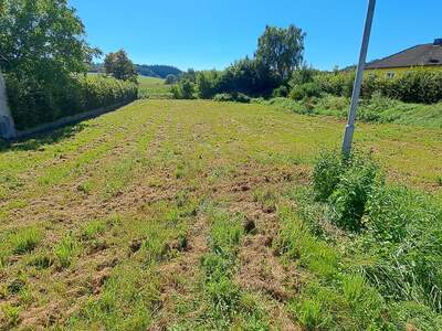 Grundstück kaufen in 3383 Hürm (Bild 1)