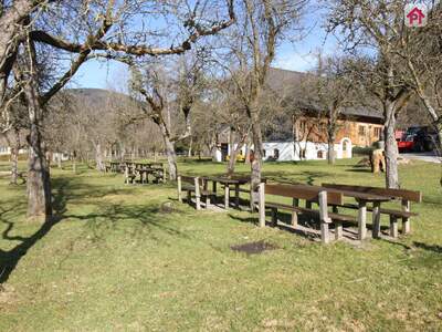 Gewerbeobjekt mieten in 5340 Sankt Gilgen (Bild 5)