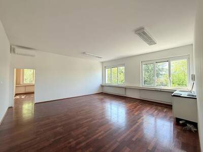 Gewerbeobjekt mieten in 2345 Brunn (Bild 2)