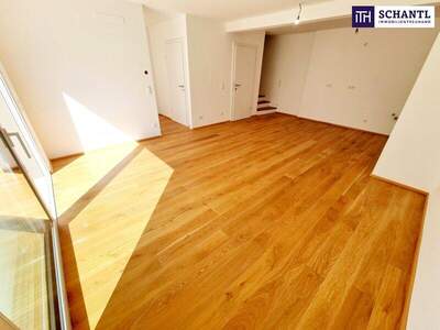 Terrassenwohnung kaufen in 1230 Wien (Bild 2)