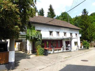 Gewerbeobjekt kaufen in 4800 Attnang Puchheim