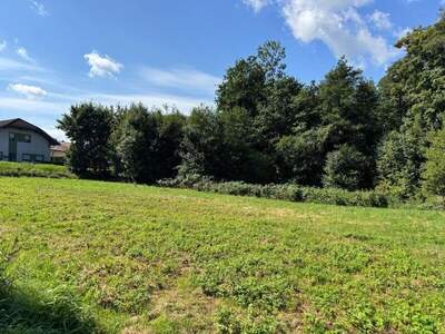 Grundstück kaufen in 4770 Andorf (Bild 5)