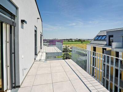 Terrassenwohnung mieten in 1220 Wien (Bild 4)