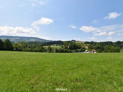 Grundstück kaufen in 4441 Behamberg