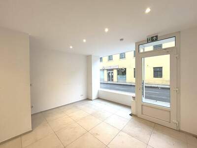 Gewerbeobjekt mieten in 1130 Wien