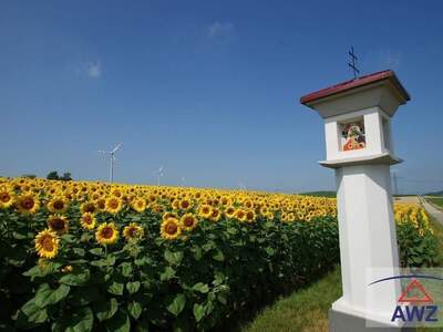 Grundstück kaufen in 2500 Baden