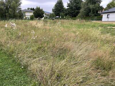 Grundstück kaufen in 8241 Dechantskirchen (Bild 2)