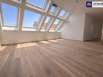 Terrassenwohnung kaufen in 2514 Traiskirchen (Bild 1)