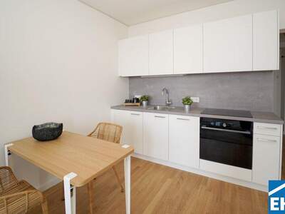 Terrassenwohnung mieten in 1220 Wien (Bild 4)