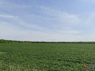 Grundstück kaufen in 2331 Vösendorf (Bild 4)