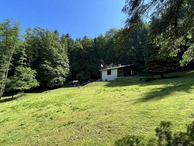 Haus kaufen in 8302 Nestelbach (Bild 5)