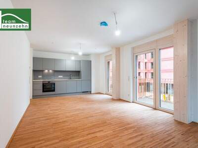 Terrassenwohnung mieten in 1030 Wien (Bild 1)