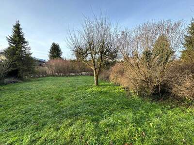 Grundstück kaufen in 5020 Salzburg