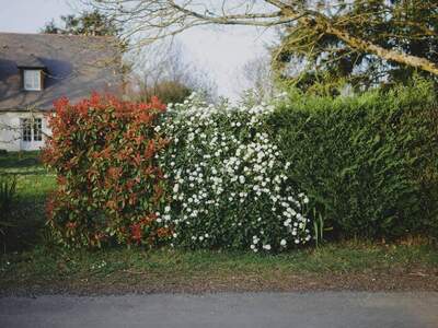 Grundstück kaufen in 8042 Graz