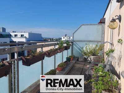Terrassenwohnung mieten in 1220 Wien (Bild 5)