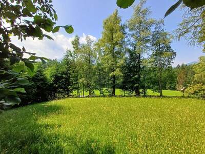 Grundstück mieten in 5324 Faistenau (Bild 1)