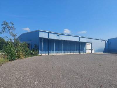 Gewerbeobjekt mieten in 4910 Ried (Bild 5)