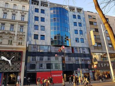 Gewerbeobjekt mieten in 1070 Wien (Bild 2)