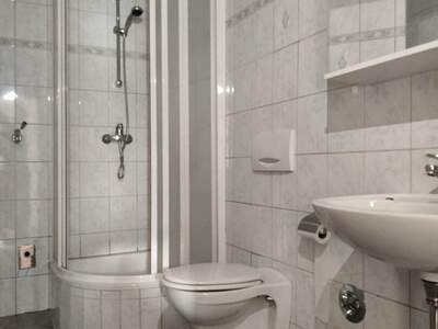 Gewerbeobjekt kaufen in 6433 Oetz (Bild 5)