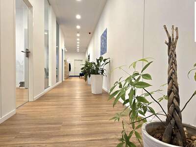 Gewerbeobjekt mieten in 2351 Wiener Neudorf (Bild 1)