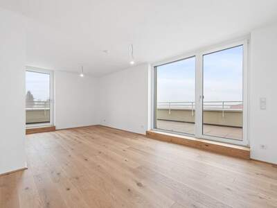 Anlageobjekt kaufen in 2540 Bad Vöslau (Bild 3)