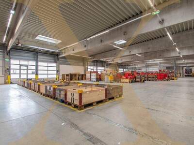 Halle / Lager / Produktion mieten in 4060 Leonding
