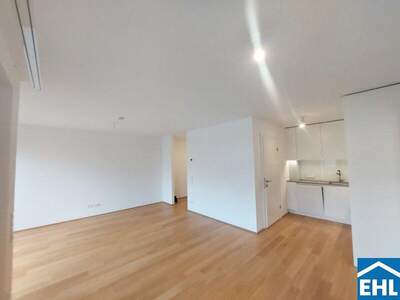Terrassenwohnung mieten in 1180 Wien (Bild 2)