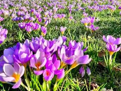 Mietwohnung provisionsfrei in 6134 Vomp